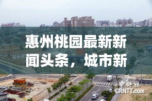 引錐刺股