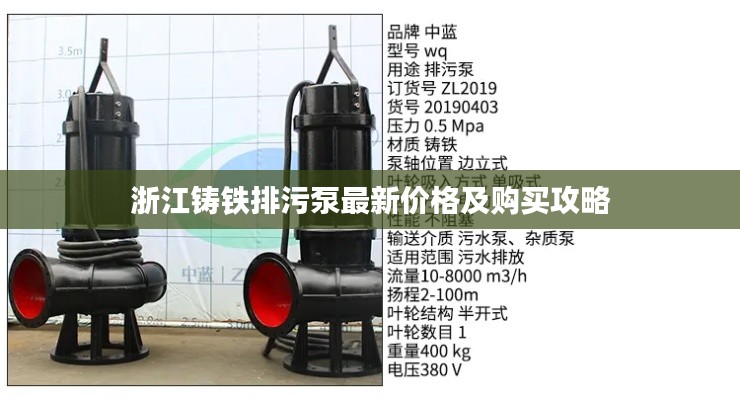 浙江鑄鐵排污泵最新價(jià)格及購(gòu)買攻略