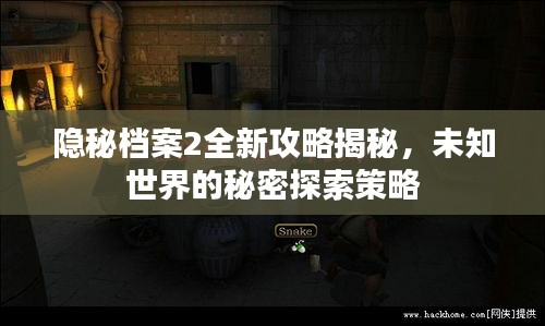 隱秘檔案2全新攻略揭秘，未知世界的秘密探索策略