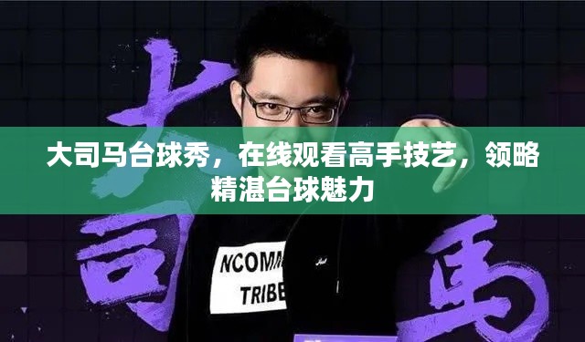 大司馬臺球秀，在線觀看高手技藝，領(lǐng)略精湛臺球魅力