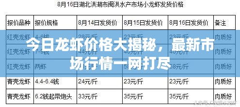 今日龍蝦價格大揭秘，最新市場行情一網(wǎng)打盡