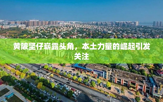 黃陂堅仔嶄露頭角，本土力量的崛起引發(fā)關(guān)注
