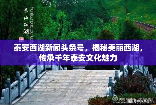 泰安西湖新聞頭條號，揭秘美麗西湖，傳承千年泰安文化魅力
