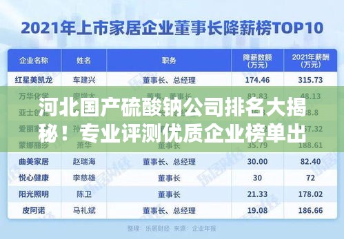 河北國產(chǎn)硫酸鈉公司排名大揭秘！專業(yè)評測優(yōu)質(zhì)企業(yè)榜單出爐！