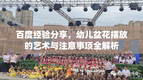 百度經(jīng)驗(yàn)分享，幼兒盆花擺放的藝術(shù)與注意事項(xiàng)全解析