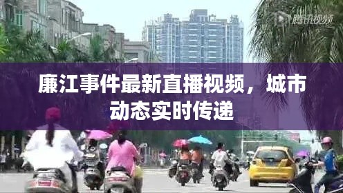 廉江事件最新直播視頻，城市動態(tài)實時傳遞