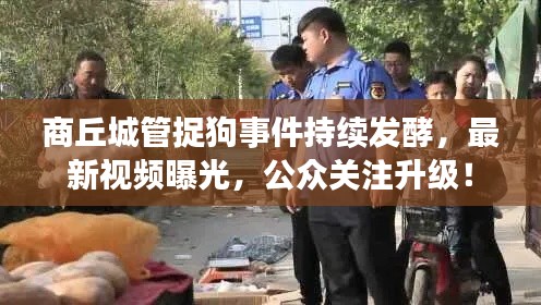 商丘城管捉狗事件持續(xù)發(fā)酵，最新視頻曝光，公眾關(guān)注升級(jí)！