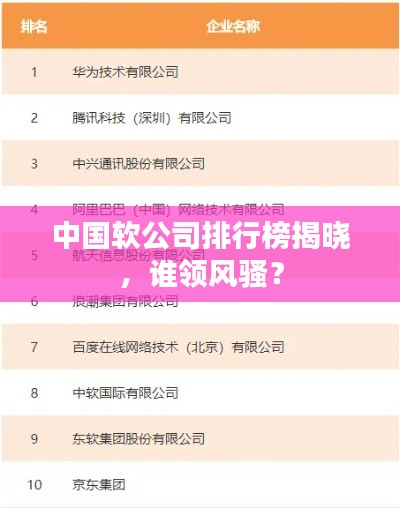 中國軟公司排行榜揭曉，誰領(lǐng)風(fēng)騷？