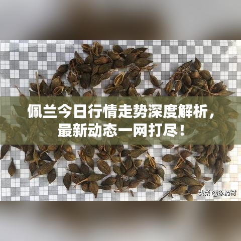 佩蘭今日行情走勢(shì)深度解析，最新動(dòng)態(tài)一網(wǎng)打盡！