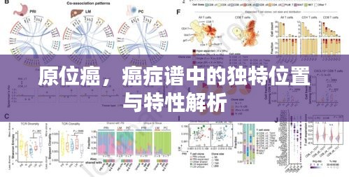 原位癌，癌癥譜中的獨(dú)特位置與特性解析