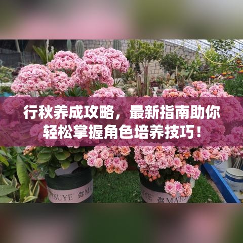 行秋養(yǎng)成攻略，最新指南助你輕松掌握角色培養(yǎng)技巧！