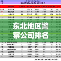 東北地區(qū)警察公司排名揭秘，影響力與實(shí)力并存的警務(wù)巨頭榜單
