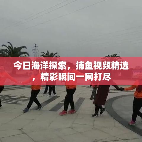 今日海洋探索，捕魚視頻精選，精彩瞬間一網(wǎng)打盡