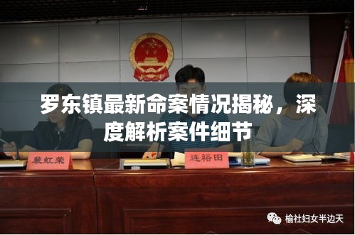 羅東鎮(zhèn)最新命案情況揭秘，深度解析案件細節(jié)