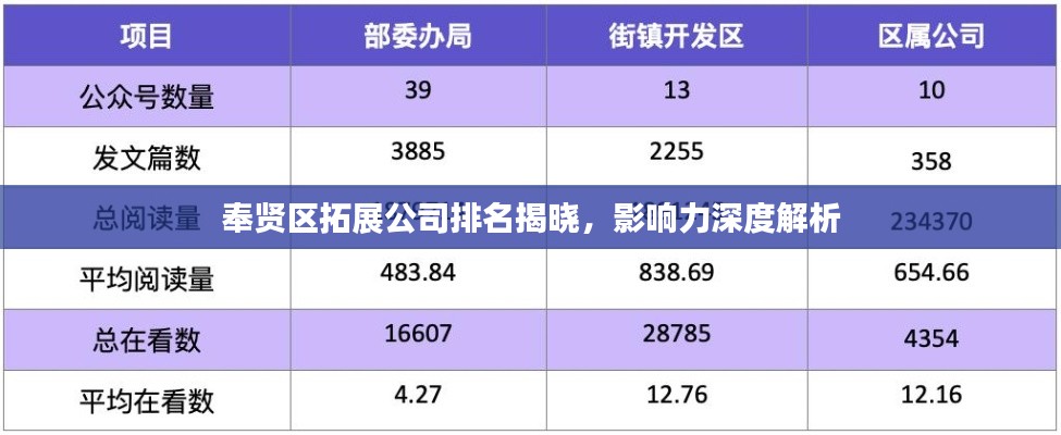奉賢區(qū)拓展公司排名揭曉，影響力深度解析
