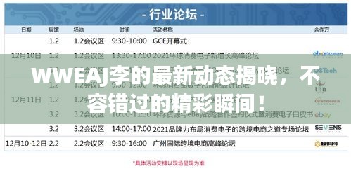 WWEAJ李的最新動態(tài)揭曉，不容錯過的精彩瞬間！