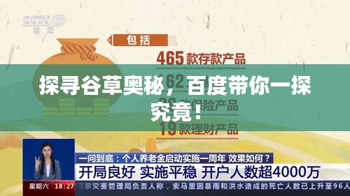 探尋谷草奧秘，百度帶你一探究竟！