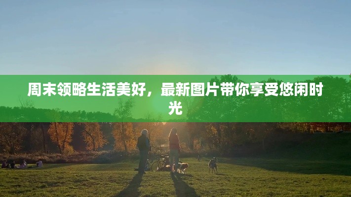 周末領(lǐng)略生活美好，最新圖片帶你享受悠閑時(shí)光