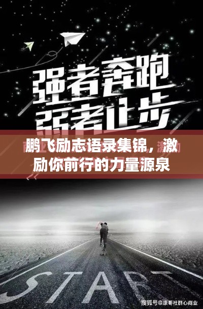 鵬飛勵志語錄集錦，激勵你前行的力量源泉