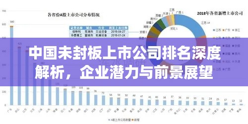 中國(guó)未封板上市公司排名深度解析，企業(yè)潛力與前景展望