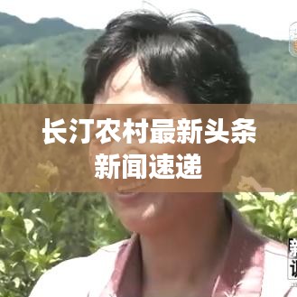 長汀農(nóng)村最新頭條新聞速遞