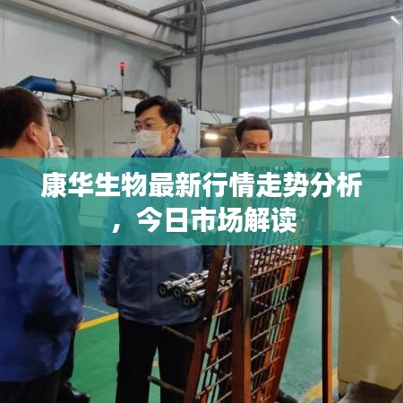 康華生物最新行情走勢分析，今日市場解讀