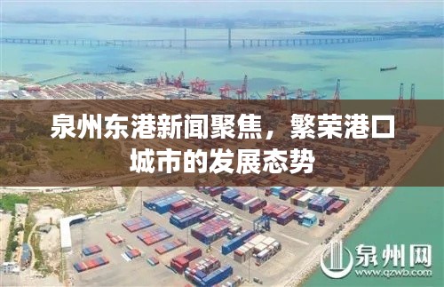 泉州東港新聞聚焦，繁榮港口城市的發(fā)展態(tài)勢