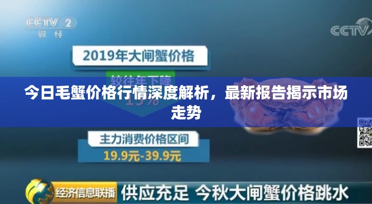 今日毛蟹價格行情深度解析，最新報告揭示市場走勢