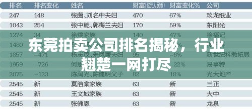 東莞拍賣公司排名揭秘，行業(yè)翹楚一網(wǎng)打盡