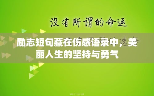 勵(lì)志短句藏在傷感語錄中，美麗人生的堅(jiān)持與勇氣