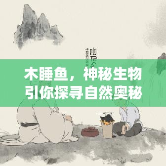 木睡魚，神秘生物引你探尋自然奧秘
